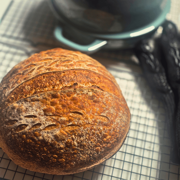 Mellomgrovt grytebrød